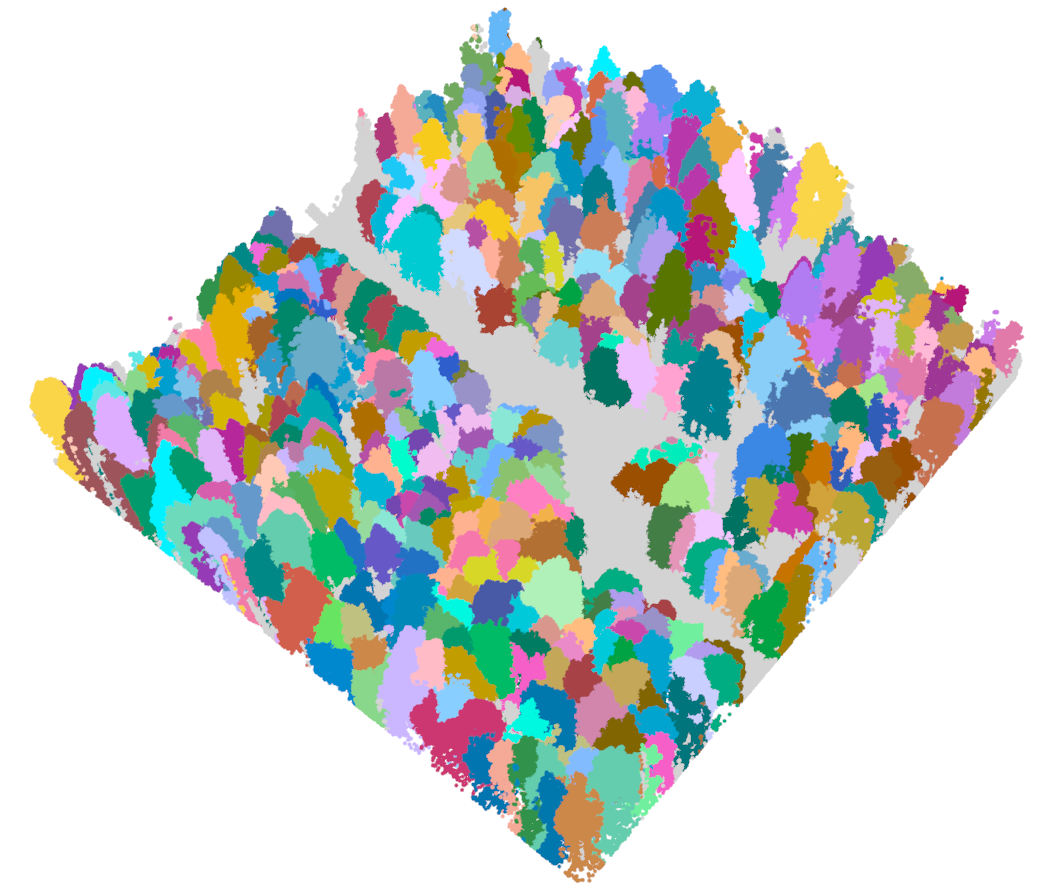 A segmented point cloud using the algorithm based on @Dalponte2016. (Du Toit, CC-BY-4.0).