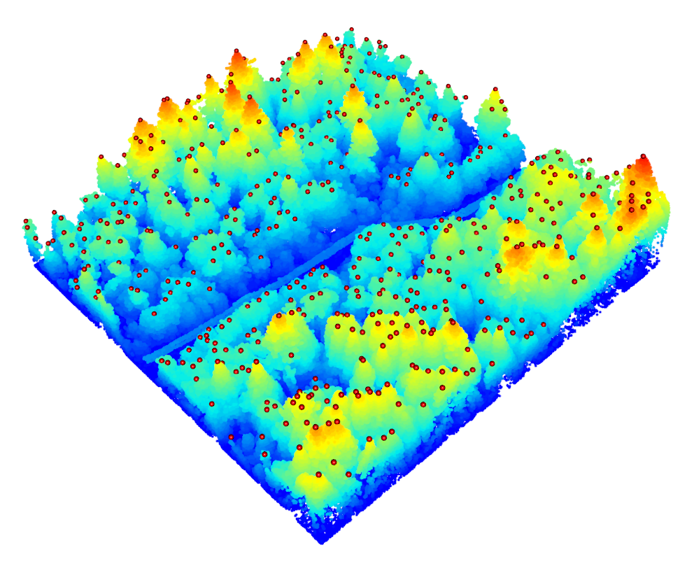 Example of tree tops detected using the `find_trees` function. (Du Toit, CC-BY-4.0).
